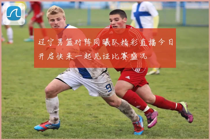 辽宁男篮对阵同曦队精彩直播今日开启快来一起见证比赛盛况