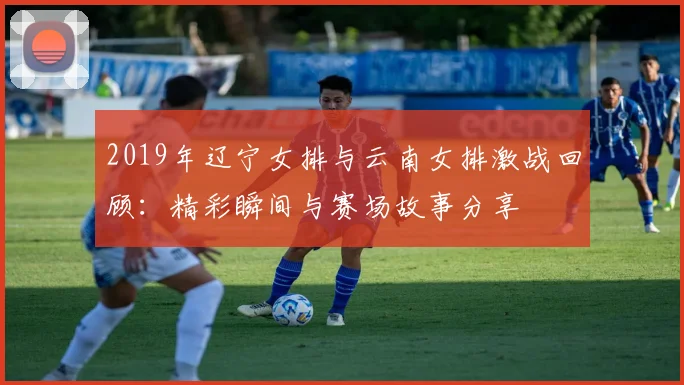 2019年辽宁女排与云南女排激战回顾：精彩瞬间与赛场故事分享