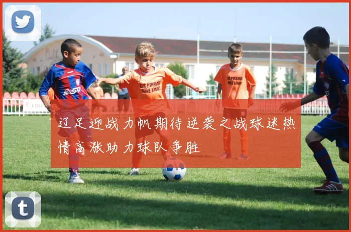 辽足迎战力帆期待逆袭之战球迷热情高涨助力球队争胜