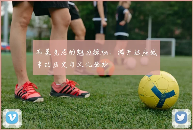 布莱克尼的魅力探秘：揭开这座城市的历史与文化面纱